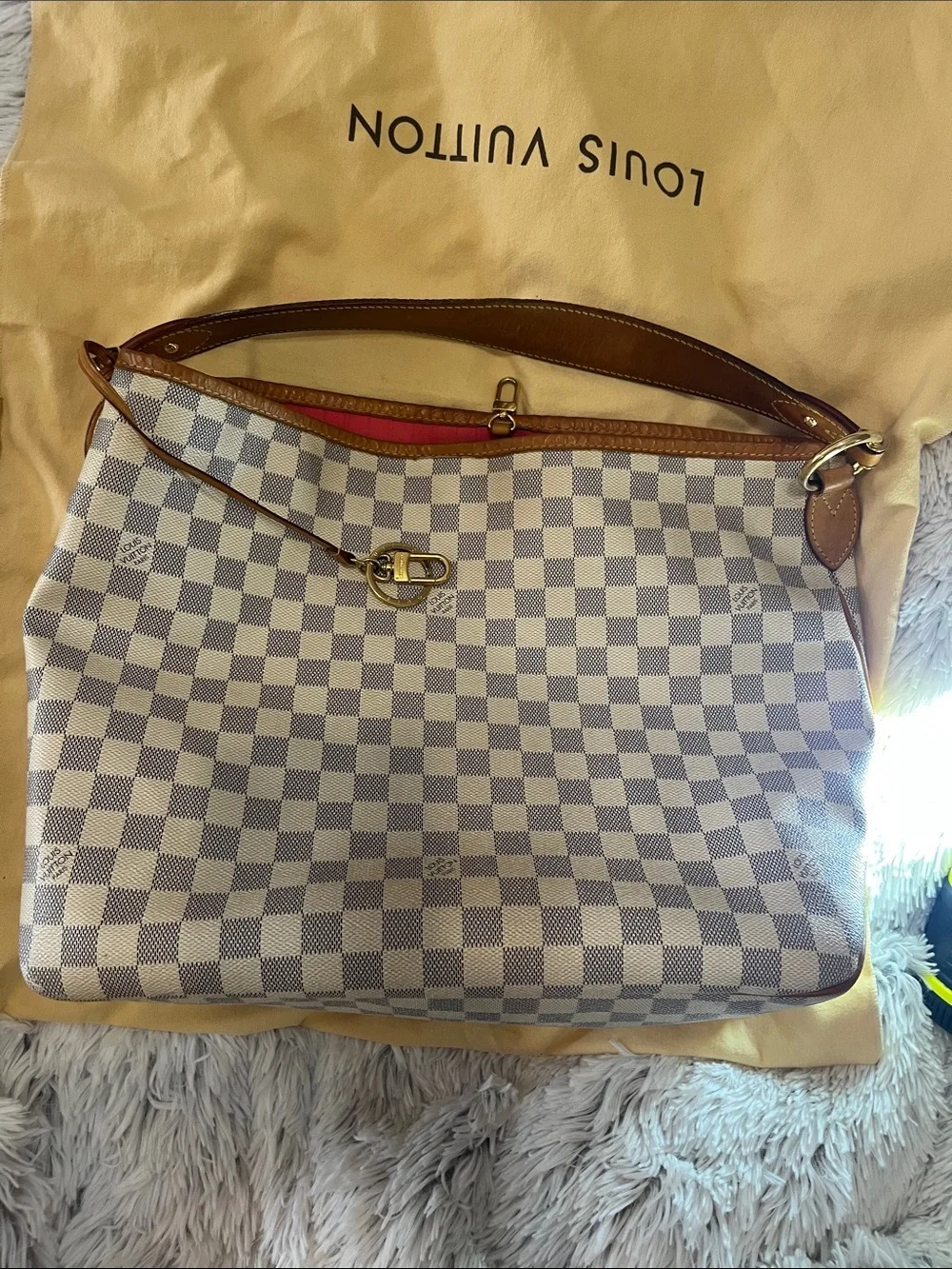 Louis Vuitton classic louis